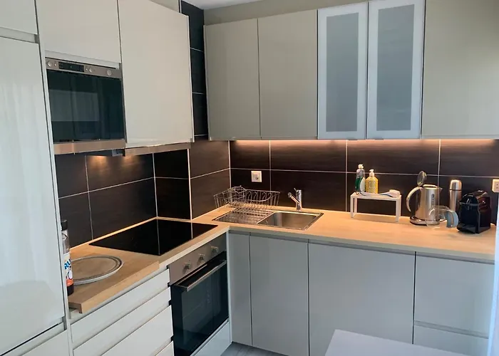 Roc D'orsay C15 レイサン